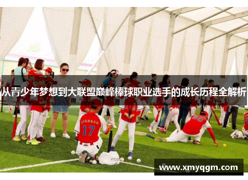从青少年梦想到大联盟巅峰棒球职业选手的成长历程全解析