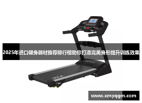 2025年进口健身器材推荐排行榜助你打造完美身形提升训练效果