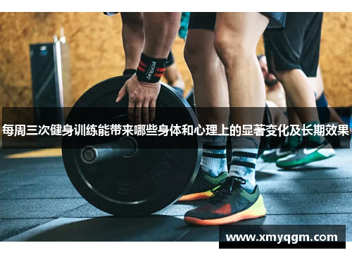 每周三次健身训练能带来哪些身体和心理上的显著变化及长期效果