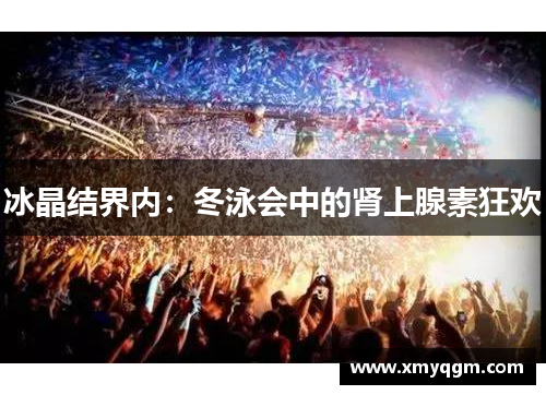 冰晶结界内：冬泳会中的肾上腺素狂欢