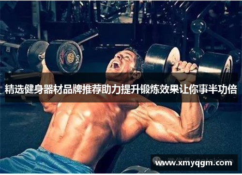 精选健身器材品牌推荐助力提升锻炼效果让你事半功倍