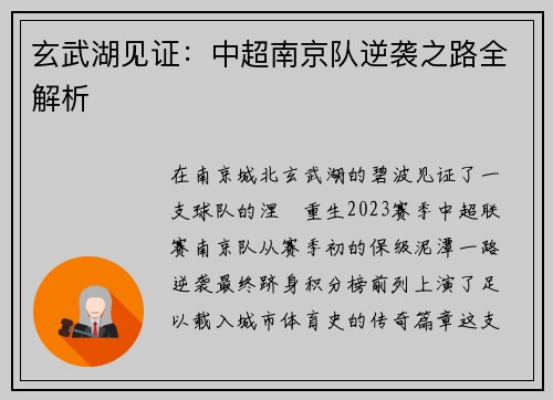 玄武湖见证：中超南京队逆袭之路全解析